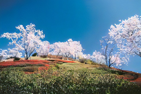 展望台