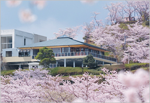 丸岡公園リンク