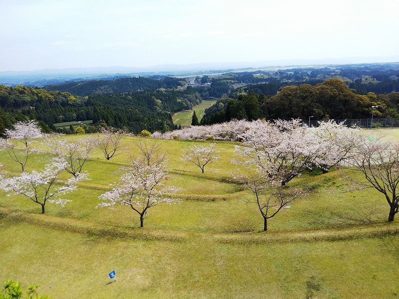 グラウンドゴルフ